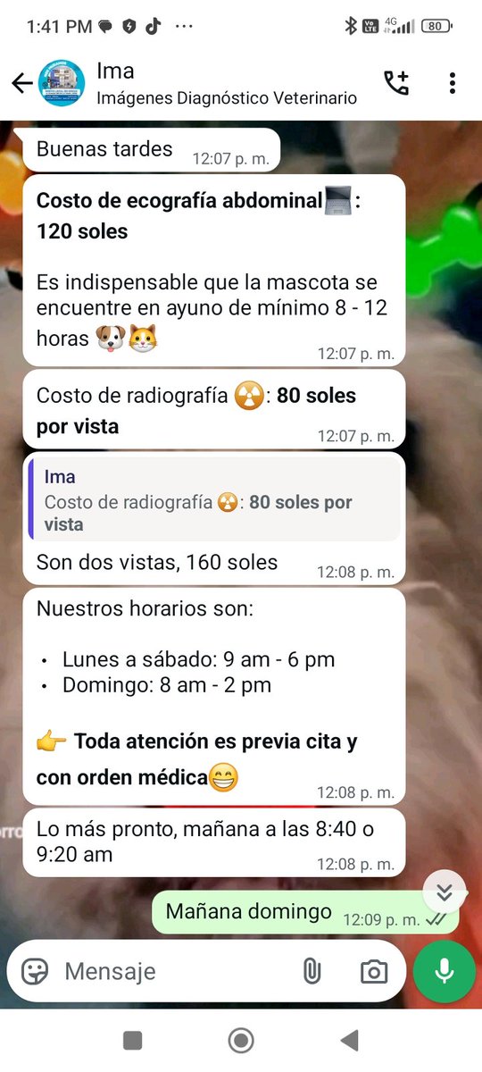 Hola 🆘 el Viejito HANSITO🐕está MAL😞,lo estuvo tratando un veterinario peRo no hubo mejoría así que lo lleve ayer a otra veterinaria que atendió la emergencia,hace flojo,abdomen con líquido😞,me pide ecografía y rx 2 vistas se necesita juntar s/280 e inyectable s/50 🙏todo suma