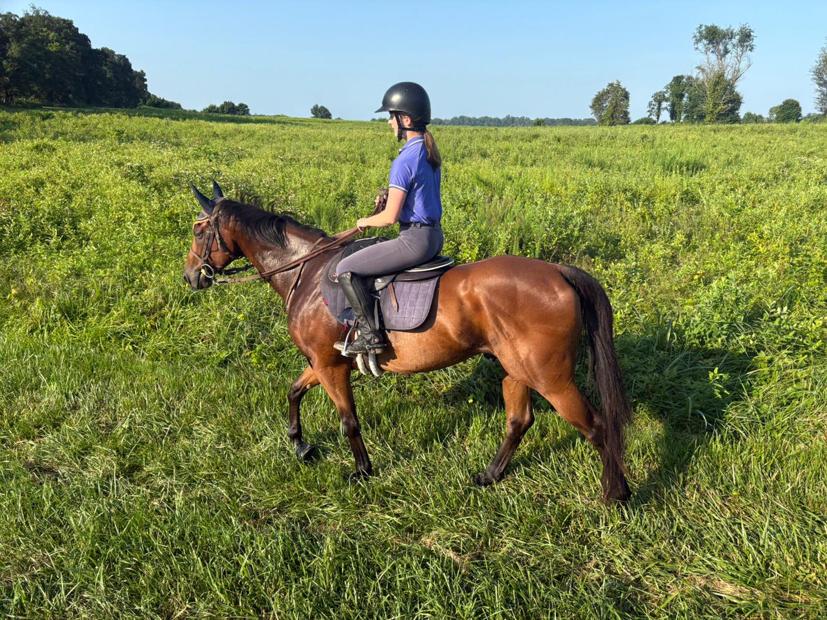 It was a bittersweet week at the farm after we sadly said goodbye to Leonie Weber, who had spent July working extremely hard for us and was turning into a very good rider.

We tried to convince her to stay and she’s more than welcome to come back any time!