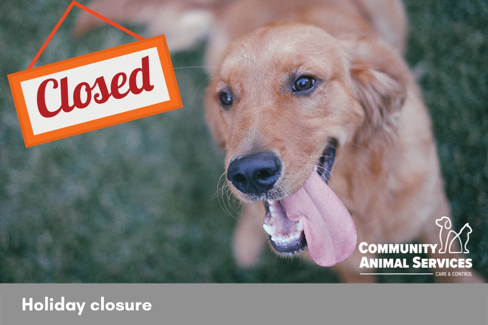 The Lethbridge Animal Shelter and office will be closed on Monday, August 4, for Heritage Day Holiday.

Online reporting, found pet profiles, and license renewals are available online at communityanimalservices.ca. For an animal control emergency, please call 403-320-4099 (opt 1).