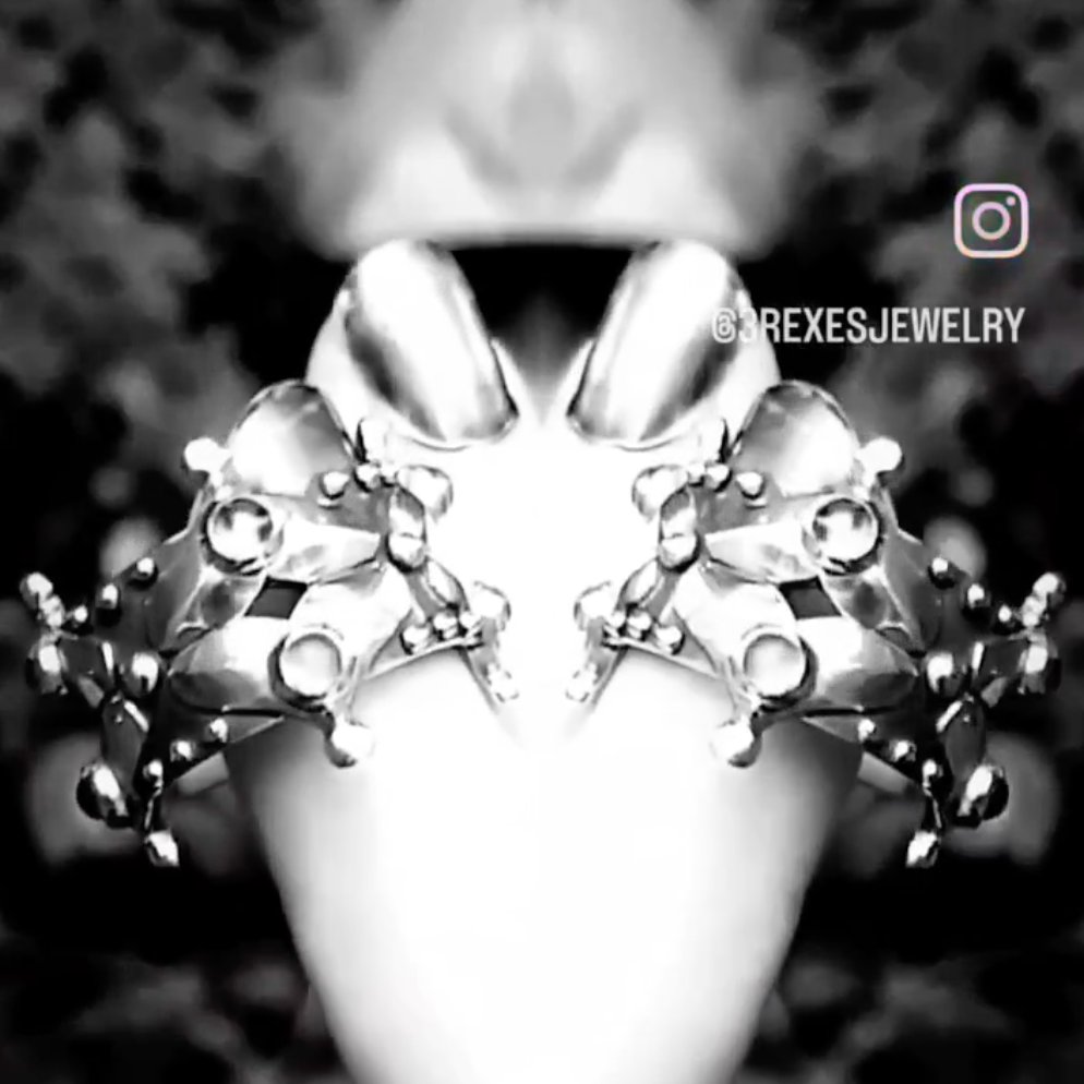 3rexes's tweet image. Goth Silver † Customer Group Order Happening Now † For Kings &amp;amp; Queens - mailchi.mp/0b9219e31d64/m…