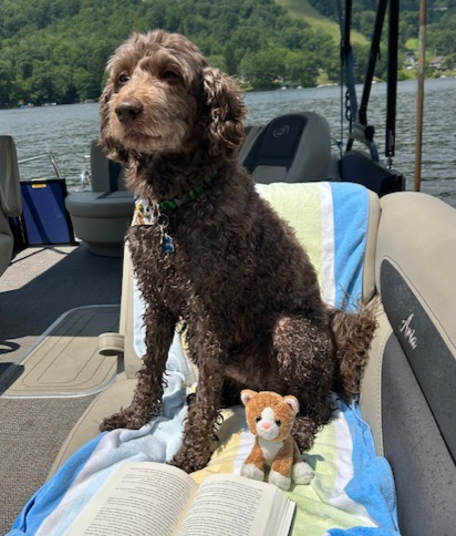 Our library cat, Carleton, and Ms. Thomas’ dog, Finn, are reading at Deep Creek Lake.  Where are you reading this summer? #ParkPRIDE #BelongGrowSucceed #SummerReading