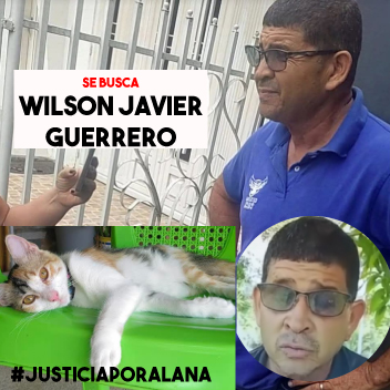 Este es Wilson Javier Guerrero, el hombre que atacó con una varilla a la gatica Alana. Del golpe tan fuerte le arrancó un ojito, y unas horas después, Alana murió en una veterinaria en Montería

Las autoridades no lo detuvieron y se fugó. Hagámoslo famoso hasta encontrarlo 🤬