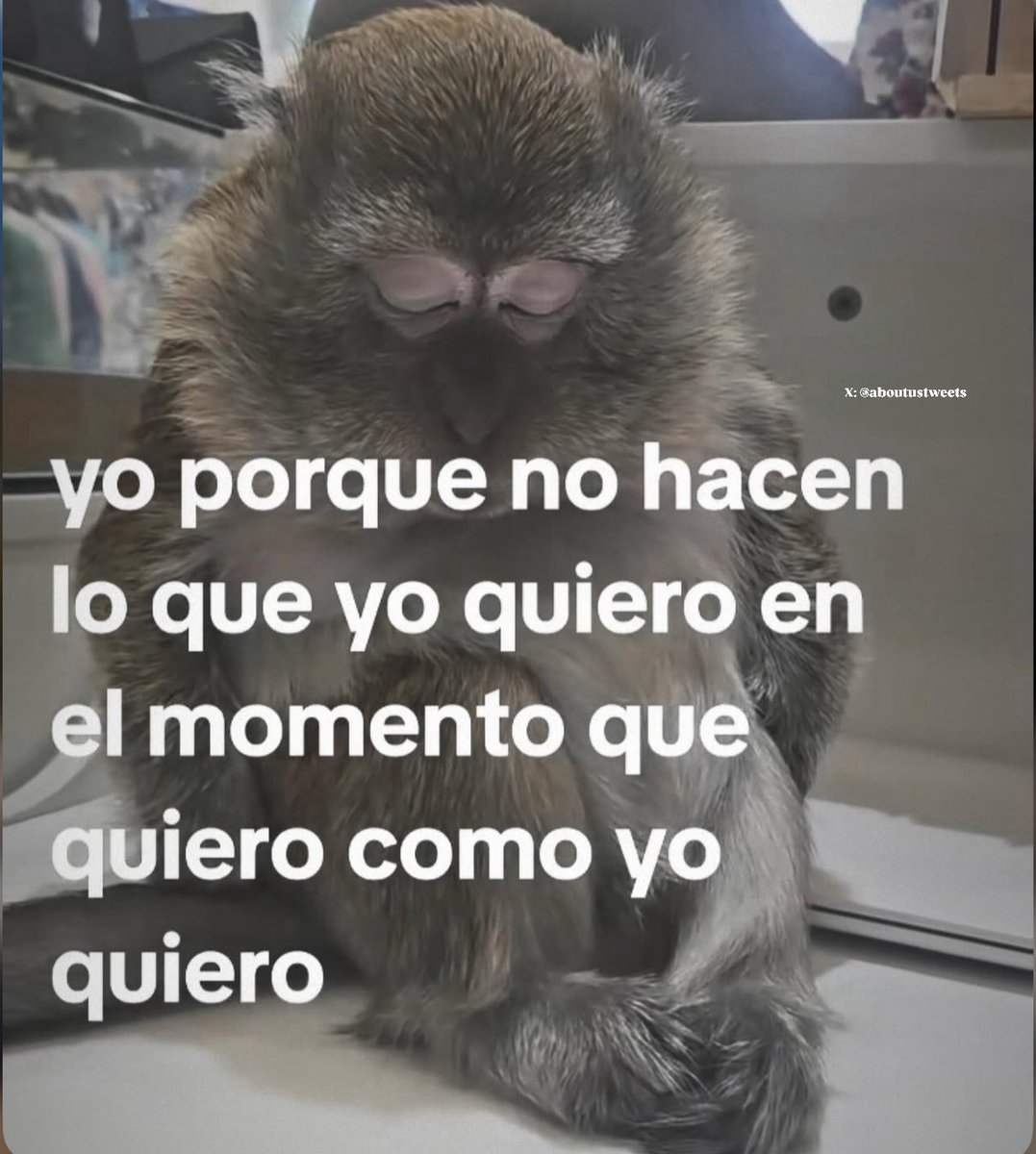 dailymemazos's tweet image. 