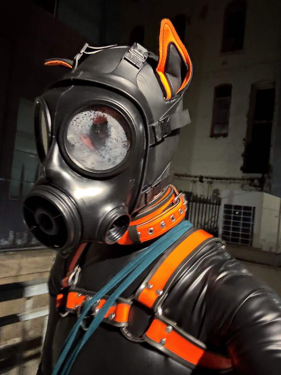 Drone exhaust is normal and expected behavior 💨

#squeakySaturday #rubberfur