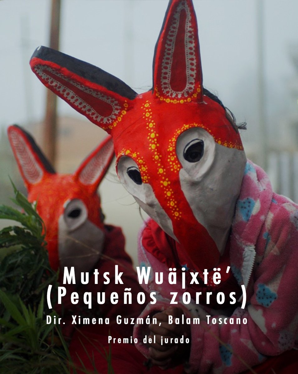¡Anunciamos las películas ganadoras del #8FECIMX!

El Premio del Jurado es para "Mutsk Wuäjxtë'" (Pequeños zorros) de Ximena Guzmán y Balam Toscano.