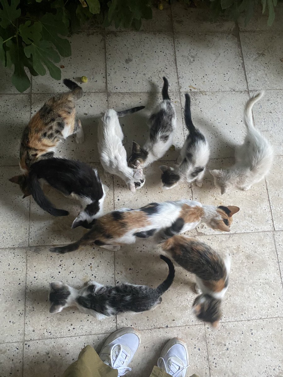 Platform Kırıkkale💚