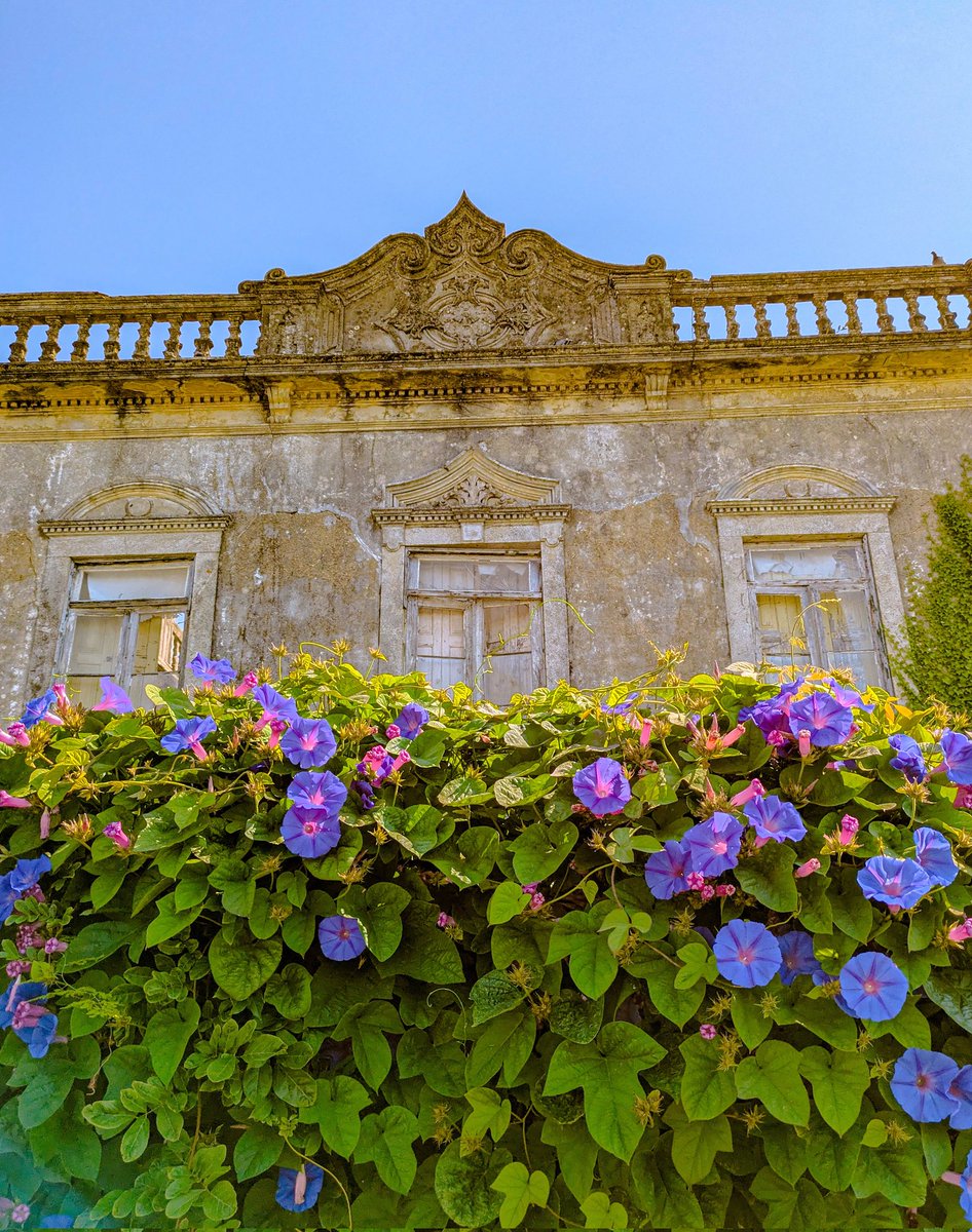 walked 13.5 miles from agucadoura to marinhas, portugal. the weather was misty and a bit colder today, but honestly it added a nice, quiet mood to the walk. passed through some shaded paths and lovely towns along the way💚