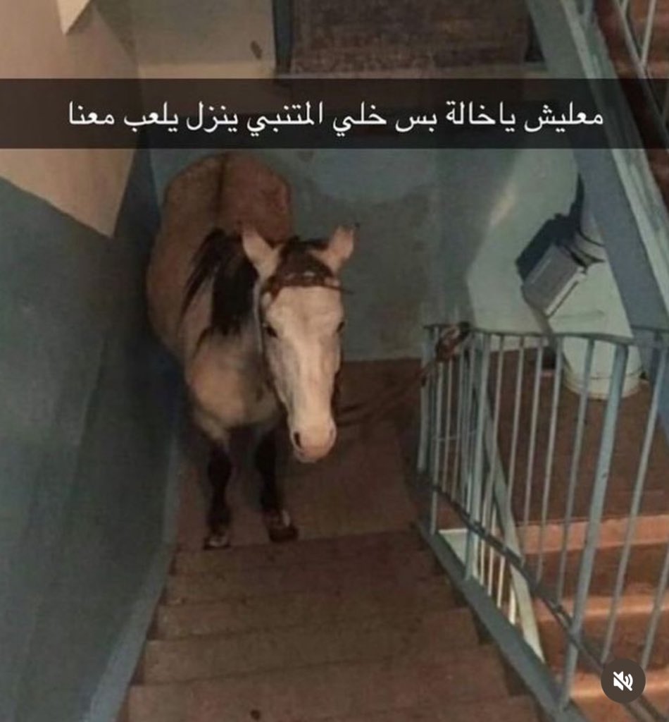 ذي الاشياء تموتتتتتتتني ضحكك