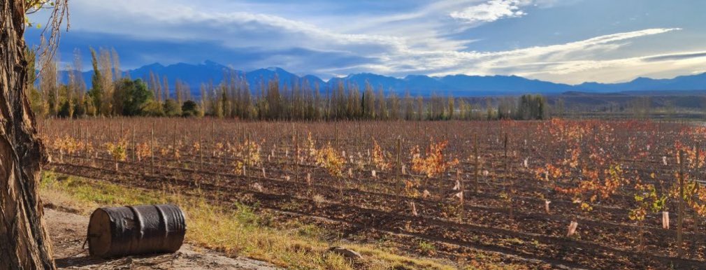 @winetimearg (@winetimearg) on Twitter photo LOS NUEVOS VINOS DE LOS VALLES DE SAN JUAN
Su potencial y diversidad son la clave de esta nueva apuesta de la segunda provincia con más viñedos de Argentina.
thewinetime.com.ar/los-nuevos-vin…
(Por <a href="/FabriPortelli/">Fabricio Portelli</a>) LOS NUEVOS VINOS DE LOS VALLES DE SAN JUAN
Su potencial y diversidad son la clave de esta nueva apuesta de la segunda provincia con más viñedos de Argentina.
thewinetime.com.ar/los-nuevos-vin…
(Por <a href="/FabriPortelli/">Fabricio Portelli</a>)