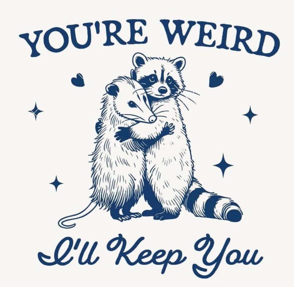 raccoon aesthetic. tweet media