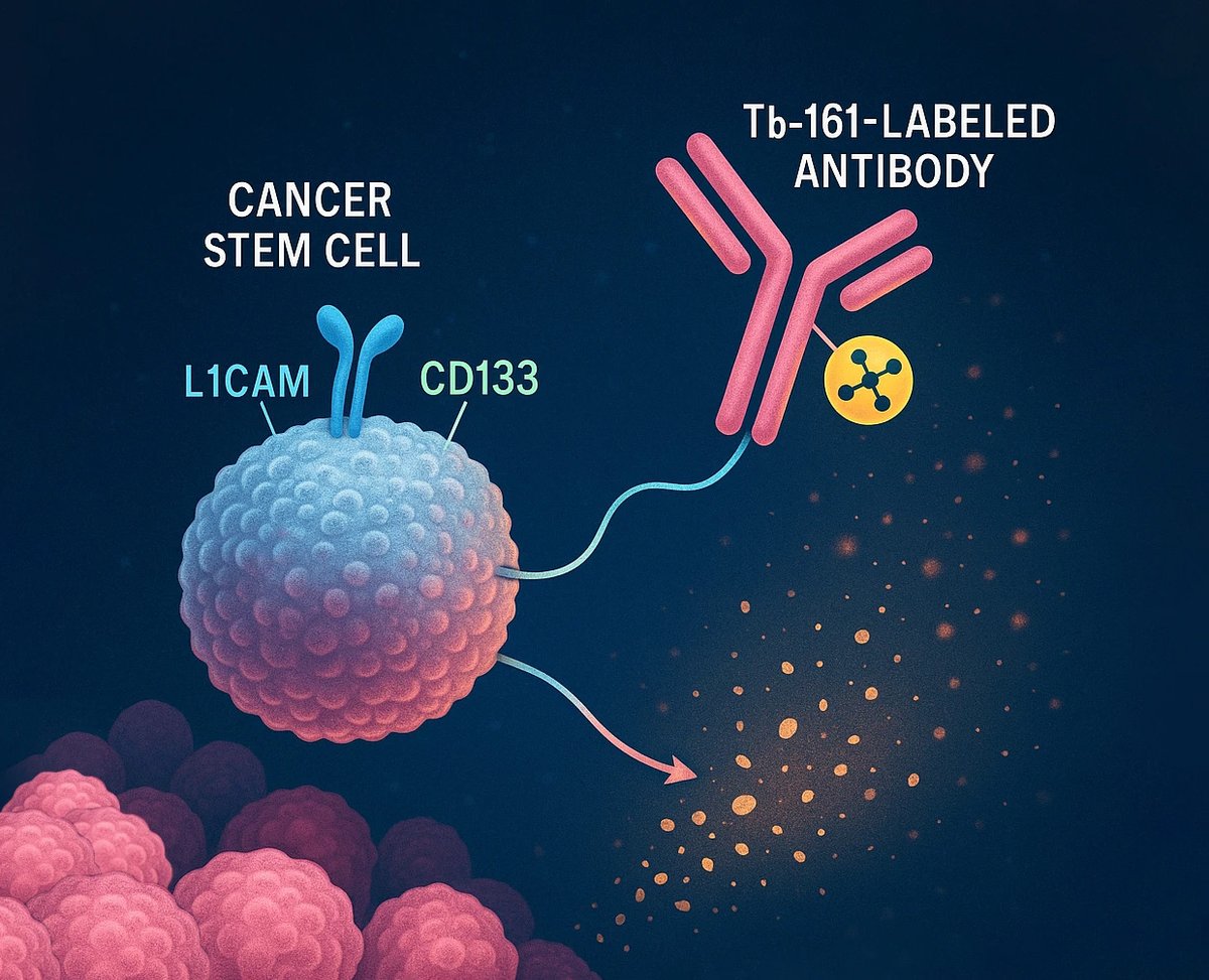A novel #radioimmunotherapy strategy has shown compelling efficacy in eliminating #ovariancancer stem cells in preclinical models, marking a major advance in efforts to address relapse and resistance in #ovarian #cancer. Published in #NuclearMedicine
healthandpharma.net/radio-immunoth…