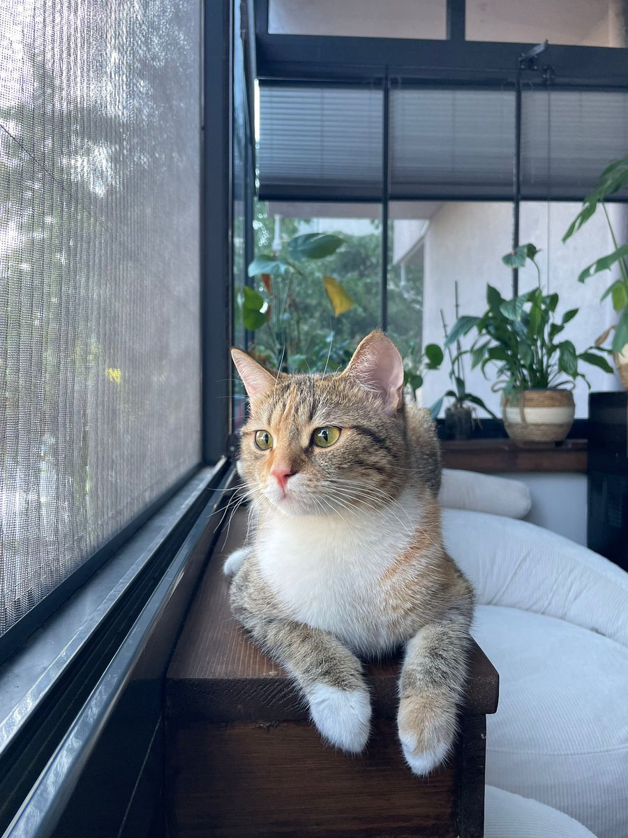 nedaaydin's tweet photo. Kavuştuk ✨😻 https://t.co/oPnBNsgZ8L