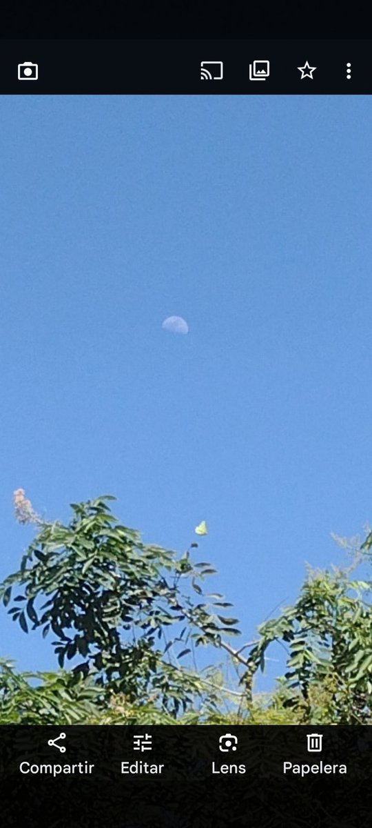 También sale de día la Luna 
En un bello azul cielo 
No hay nube que sirva de velo 
Y sin estrella alguna 
Está tarde es oportuna
Para escribir estos versos 
Cuando conmigo converso 
No tengo a nadie presente 
Estando la luna en creciente 
Mío todo es el universo.