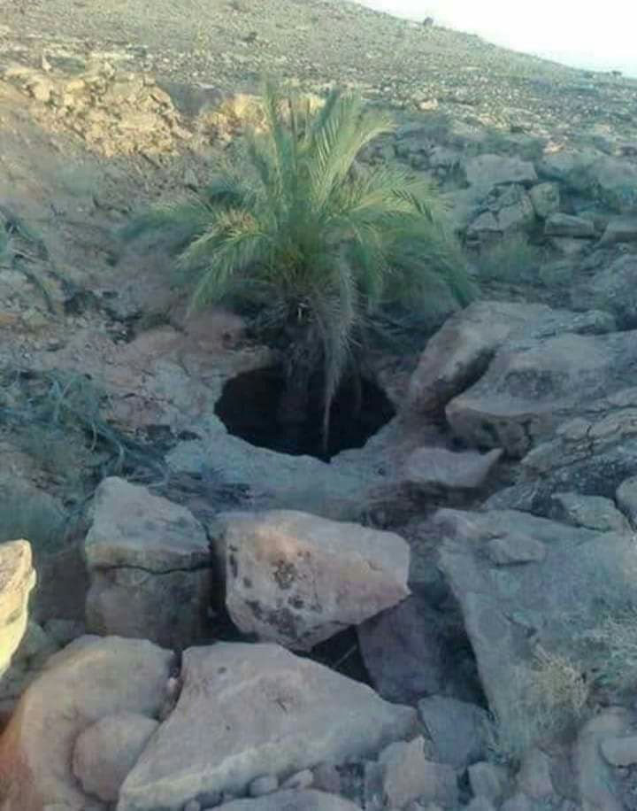 اللهم مثل مااخرجت هذه النخله من الظلمات الى النوراخرج كل إنسان من الضيق الى الفرج