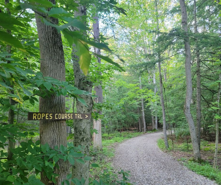 There’s something special about the Houghton trails, especially the Overlook Trail. Hiking toward that view is worth it every time, one that reminds you to pause, reflect and soak in the beauty around you. @ExploreGeneseeValley