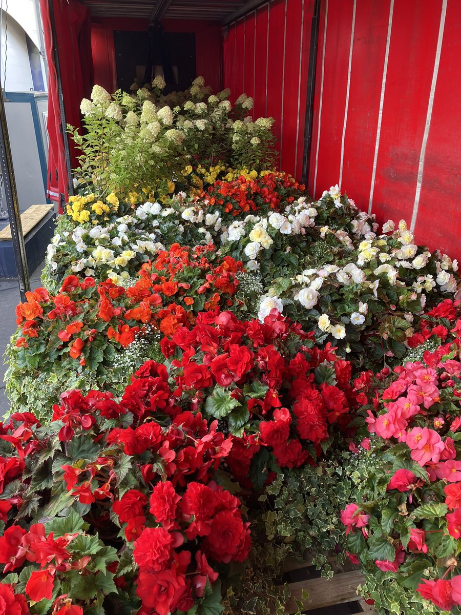 Richard Doyle tweet media