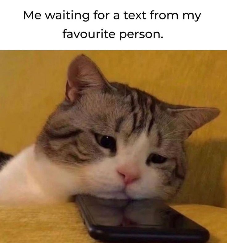 my msg. (@_mymsg) on Twitter photo 