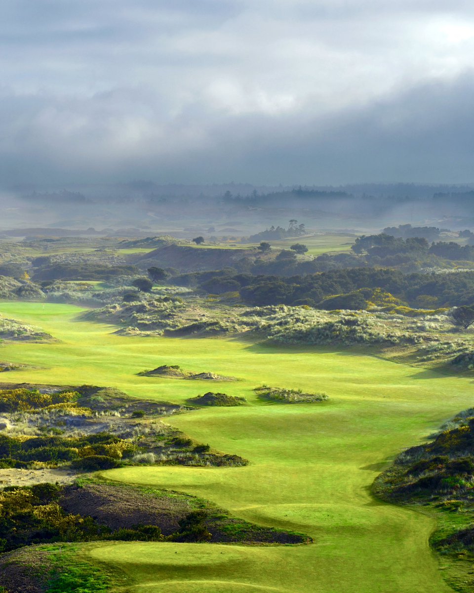 Evan Schiller (@evan_schiller) on Twitter photo Over 25 years ago, <a href="/BandonDunesGolf/">Bandon Dunes</a> unveiled its inaugural golf course crafted by <a href="/DavidMcLayKidd/">David McLay-Kidd</a> . Not surprisingly, thousands flock to play golf here every year. . Excitingly, next week, Bandon Dunes will be the host venue for the 125th US Women's Amateur Championship. <a href="/USGA/">USGA</a> Over 25 years ago, <a href="/BandonDunesGolf/">Bandon Dunes</a> unveiled its inaugural golf course crafted by <a href="/DavidMcLayKidd/">David McLay-Kidd</a> . Not surprisingly, thousands flock to play golf here every year. . Excitingly, next week, Bandon Dunes will be the host venue for the 125th US Women's Amateur Championship. <a href="/USGA/">USGA</a>