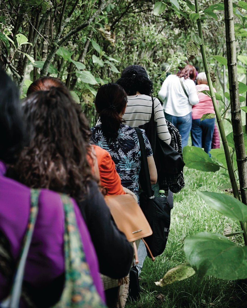 secredistmujer's tweet image. 🌿 “A estas horas de mi vida, aún puedo salir a caminar y conocer nuevos lugares”. Ana Isabel Rozo, a sus 92 años, encontró en la Casa de Igualdad de Oportunidades #CIOM de Fontibón un nuevo comienzo.

🟣 Conoce su historia completa aquí:
sdmujer.gov.co/cronicas/envoz…

#EnVozDeMujer