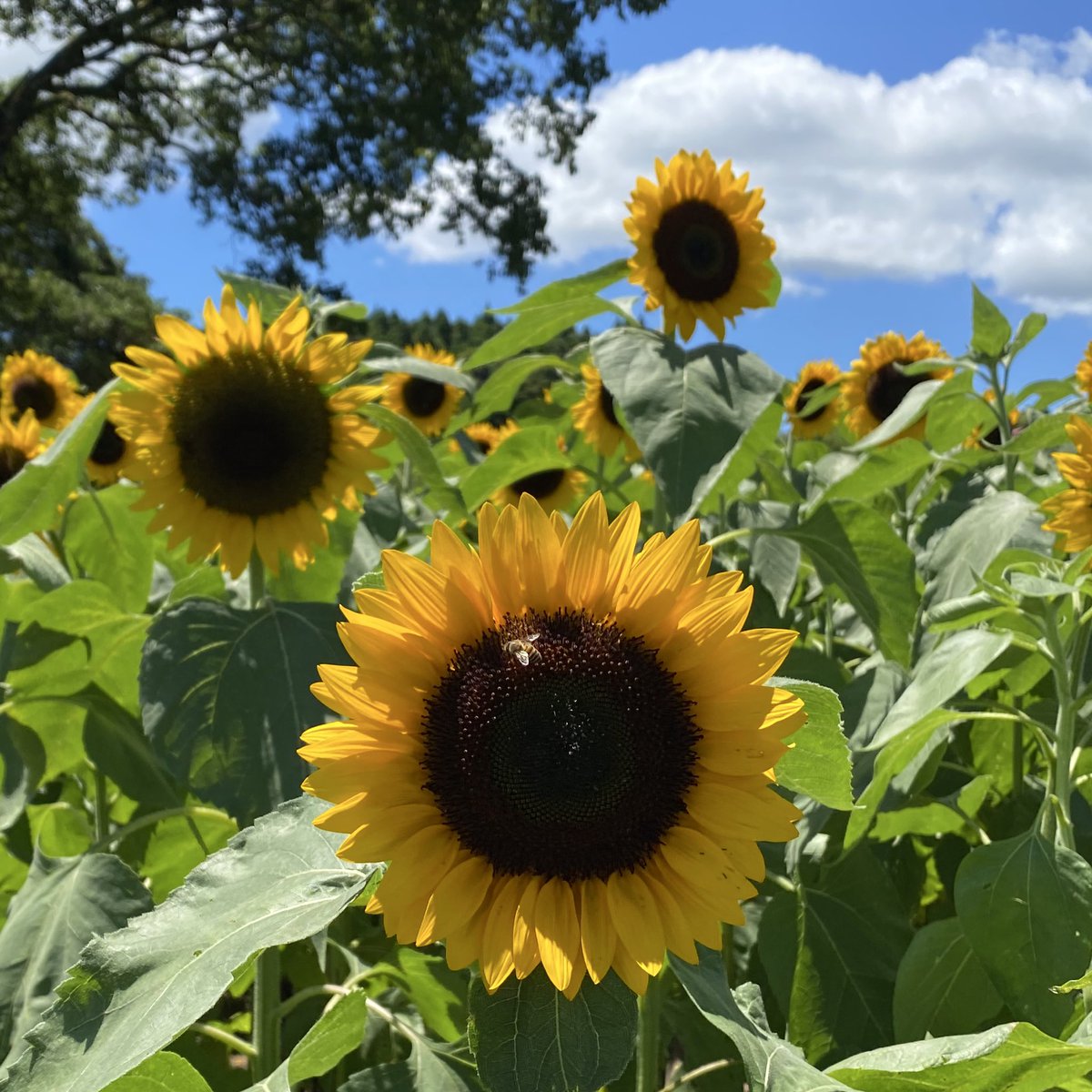 ひろみ 🦋 (@u90pVKxMdO9ffre) / Posts / X