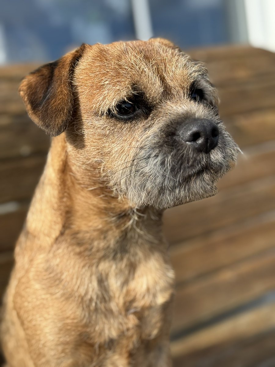 Jo Fowles tweet media