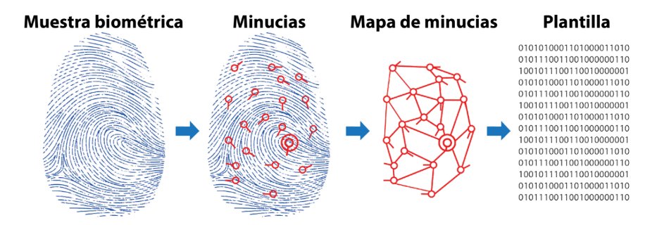 Les comparto mi aportación sobre Preocupaciones y propuestas sobre los cambios en la ley Telecom y la CURP biométrica.

pcoronaf.com/2025/08/preocu…