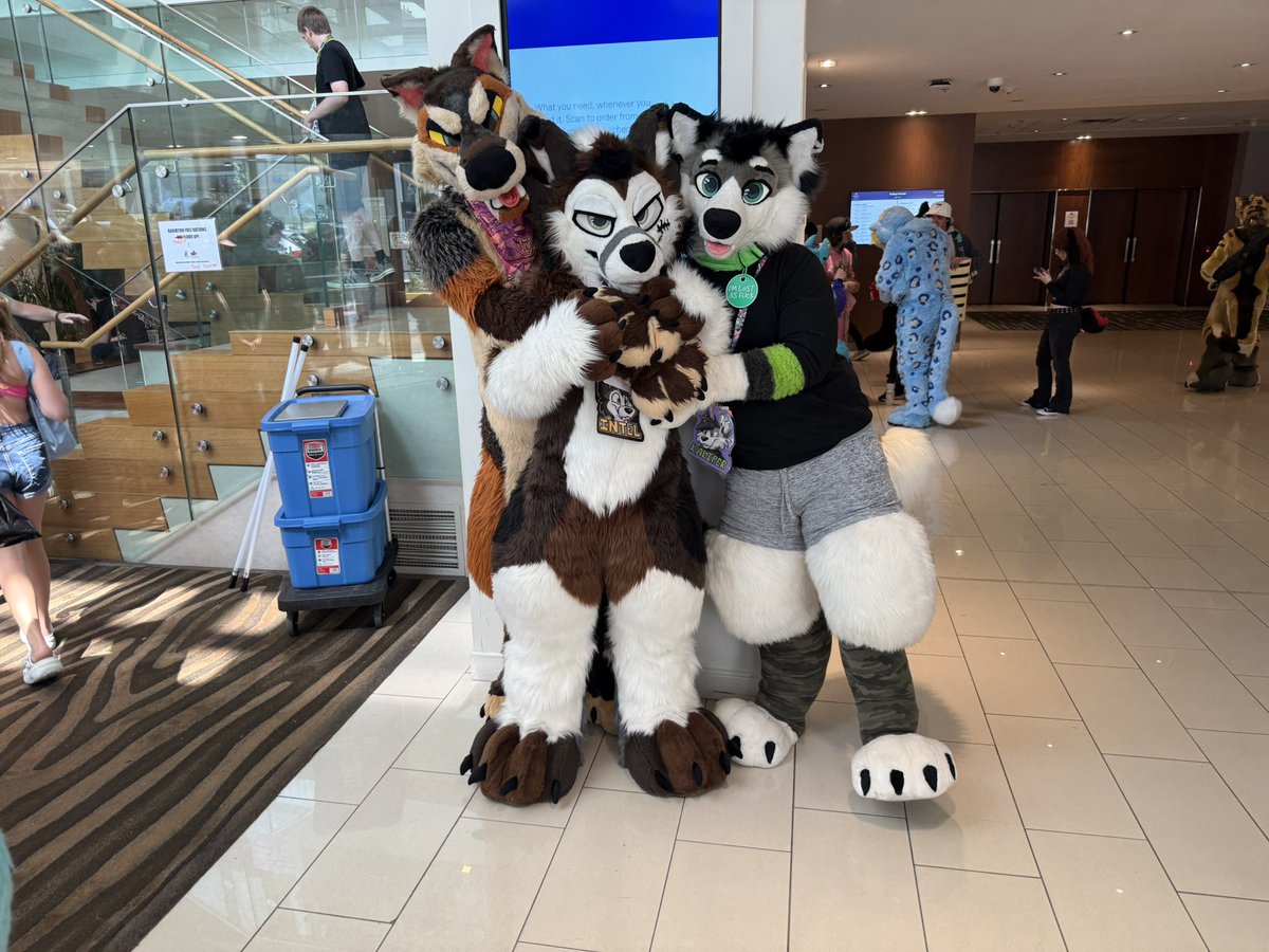 Intel the marble fox tweet media