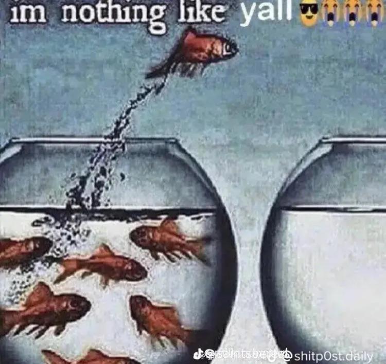 pachoss .¿ tweet media