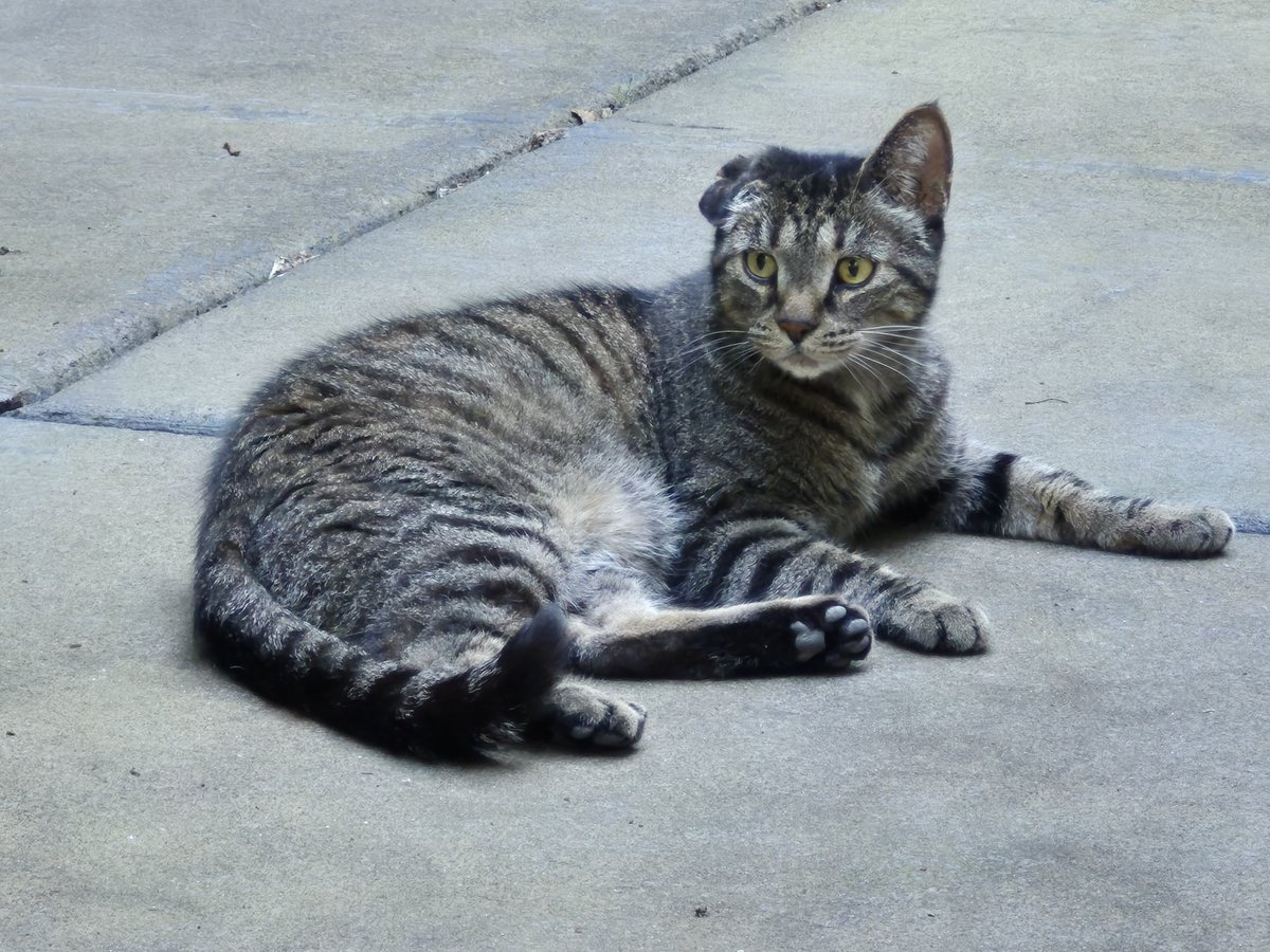 JasonGKwon tweet media