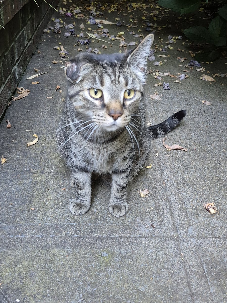 JasonGKwon tweet media