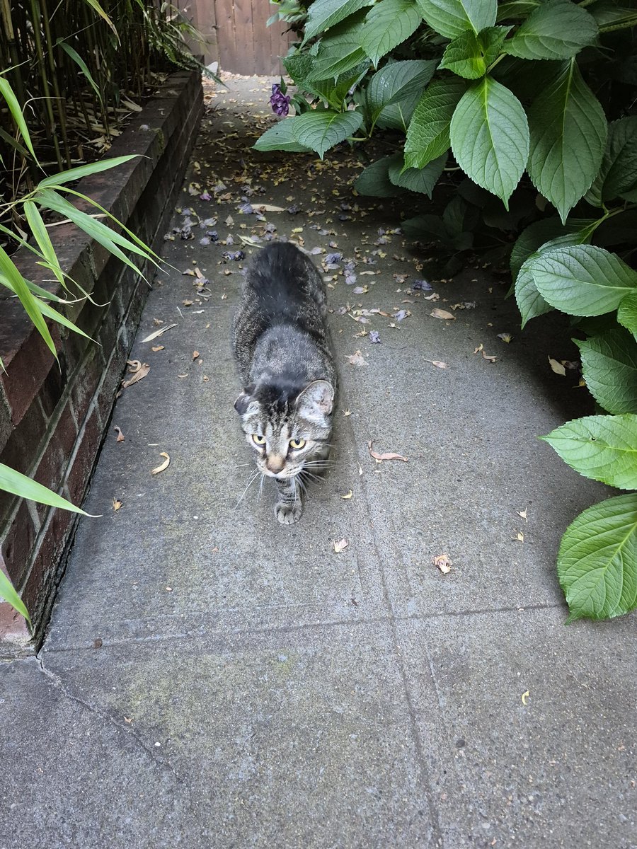 JasonGKwon tweet media