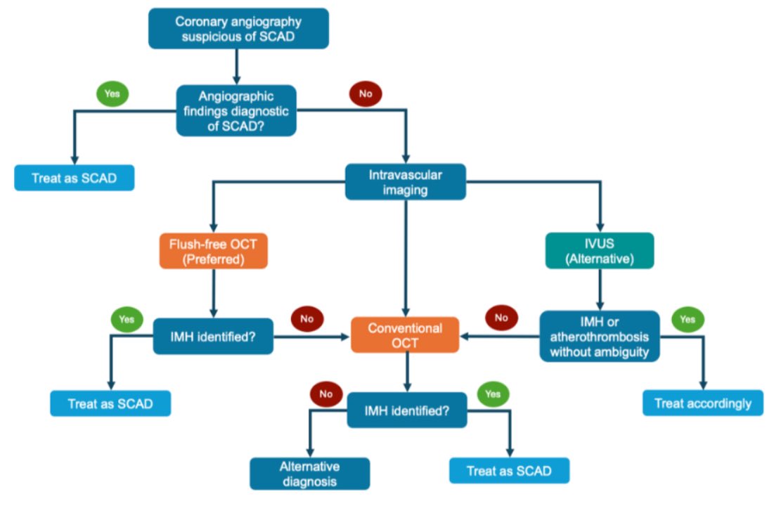 Abdullah Al-Abcha (@abdullahalabcha) on Twitter photo Check out our novel #flush_free #OCT technique for assessment of #IMH in #SCAD while minimizing the risk of SCAD propagation🫀👇🏽
Tremendously grateful for <a href="/rajivxgulati/">Rajiv Gulati</a> mentorship and guidance
jacc.org/doi/10.1016/j.…
#CardioX #ACCFIT Check out our novel #flush_free #OCT technique for assessment of #IMH in #SCAD while minimizing the risk of SCAD propagation🫀👇🏽
Tremendously grateful for <a href="/rajivxgulati/">Rajiv Gulati</a> mentorship and guidance
jacc.org/doi/10.1016/j.…
#CardioX #ACCFIT