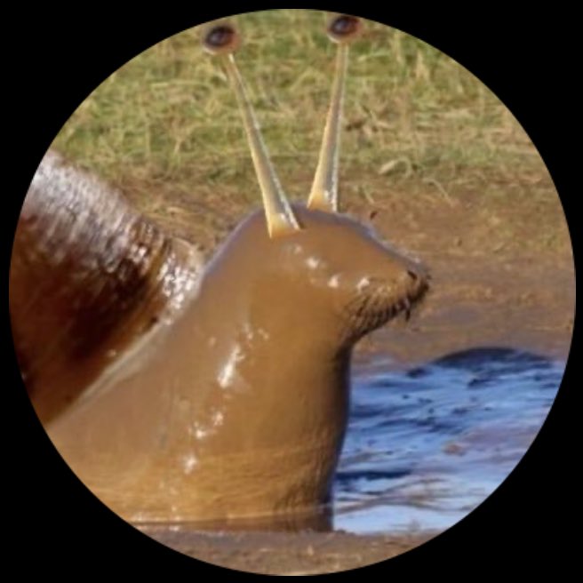 Possibly the best pfp i’ve ever seen just liked my tweet this is so awesome… my two fav animals in one.. ouhh how i love you sneal
