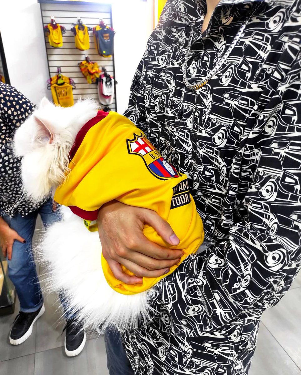 BSCstore (@bscstoreoficial) on Twitter photo Porque el amor es amarillo hasta en 4 patitas 🐱💛
Mateo Guillén, <a href="/sociosbsc/">SOCIOS BSC</a> de Cuenca, visitó el #BSCStore para que su gato Sultán Guillén Molina también vista como campeón 👑🐾
#BarcelonaSomosTodos Porque el amor es amarillo hasta en 4 patitas 🐱💛
Mateo Guillén, <a href="/sociosbsc/">SOCIOS BSC</a> de Cuenca, visitó el #BSCStore para que su gato Sultán Guillén Molina también vista como campeón 👑🐾
#BarcelonaSomosTodos