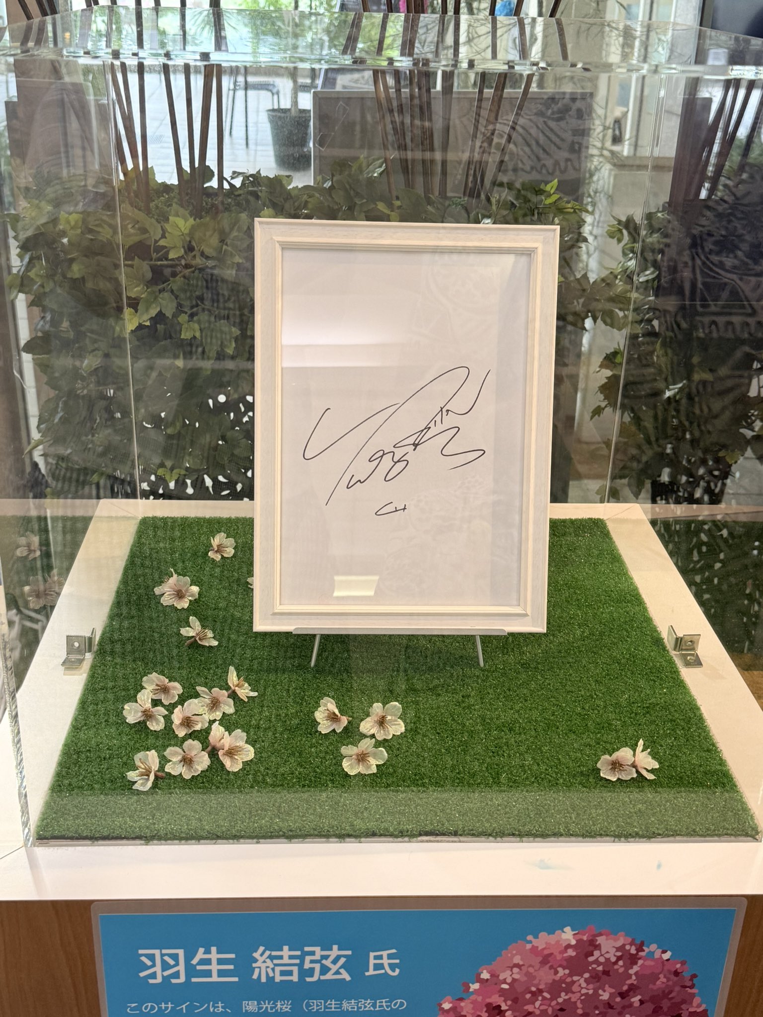 羽生結弦 直筆サイン 羽生結弦選手直筆メッセージ&サイン(印刷)の通販 by choco's