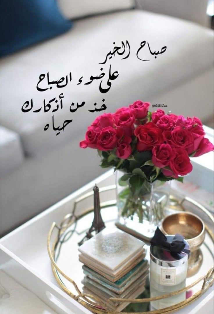 ‌‌‌‌‌‌⇣❀

وأحياناً مجيء الصباح يڪـون بمجيء السلام والطمأنينة والراحة إلى قلوبنا.. 
#صباح_الخير
#صباح_الأشياء_المُشرقة 
#zonauang