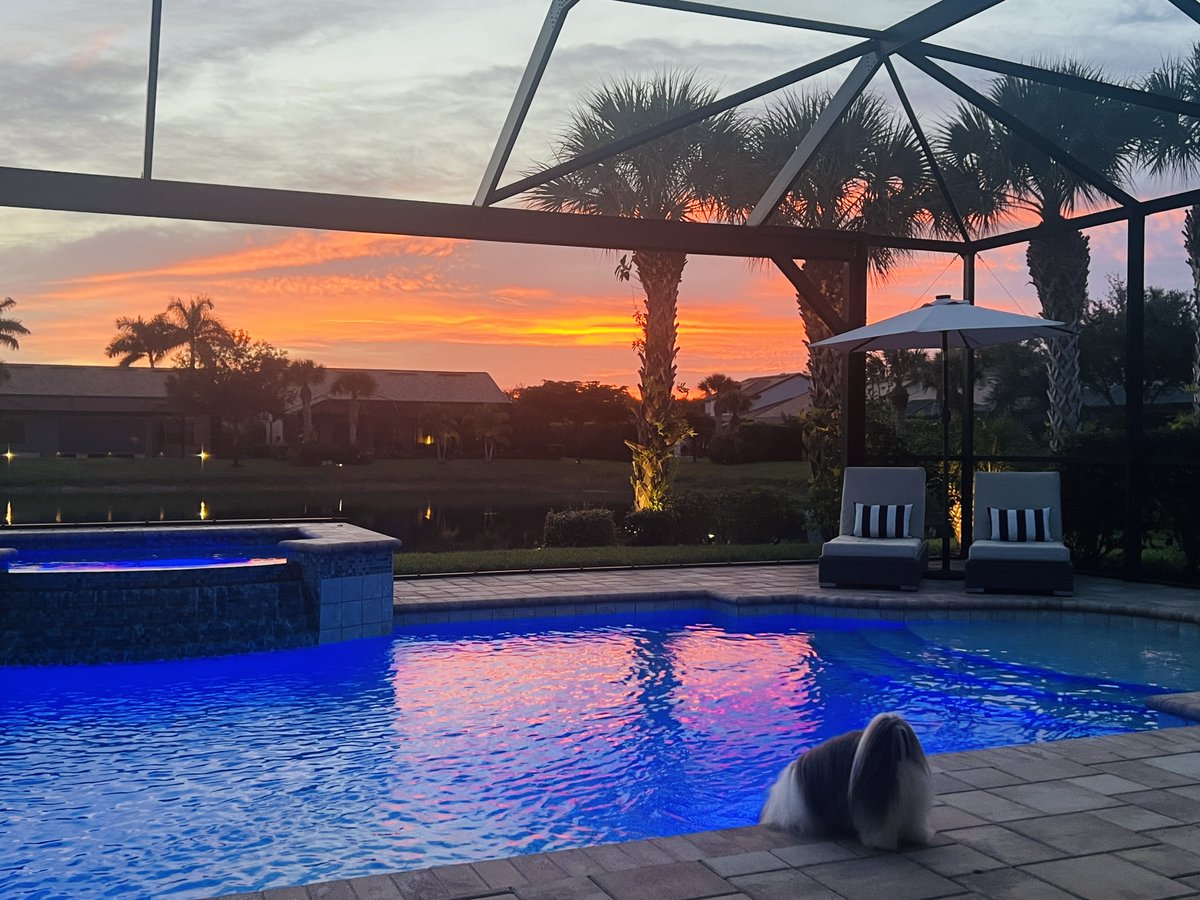 grayparker23's tweet image. Atticus and his personal bowl of water.  😂😂 Naples Florida backyard sunset 💕