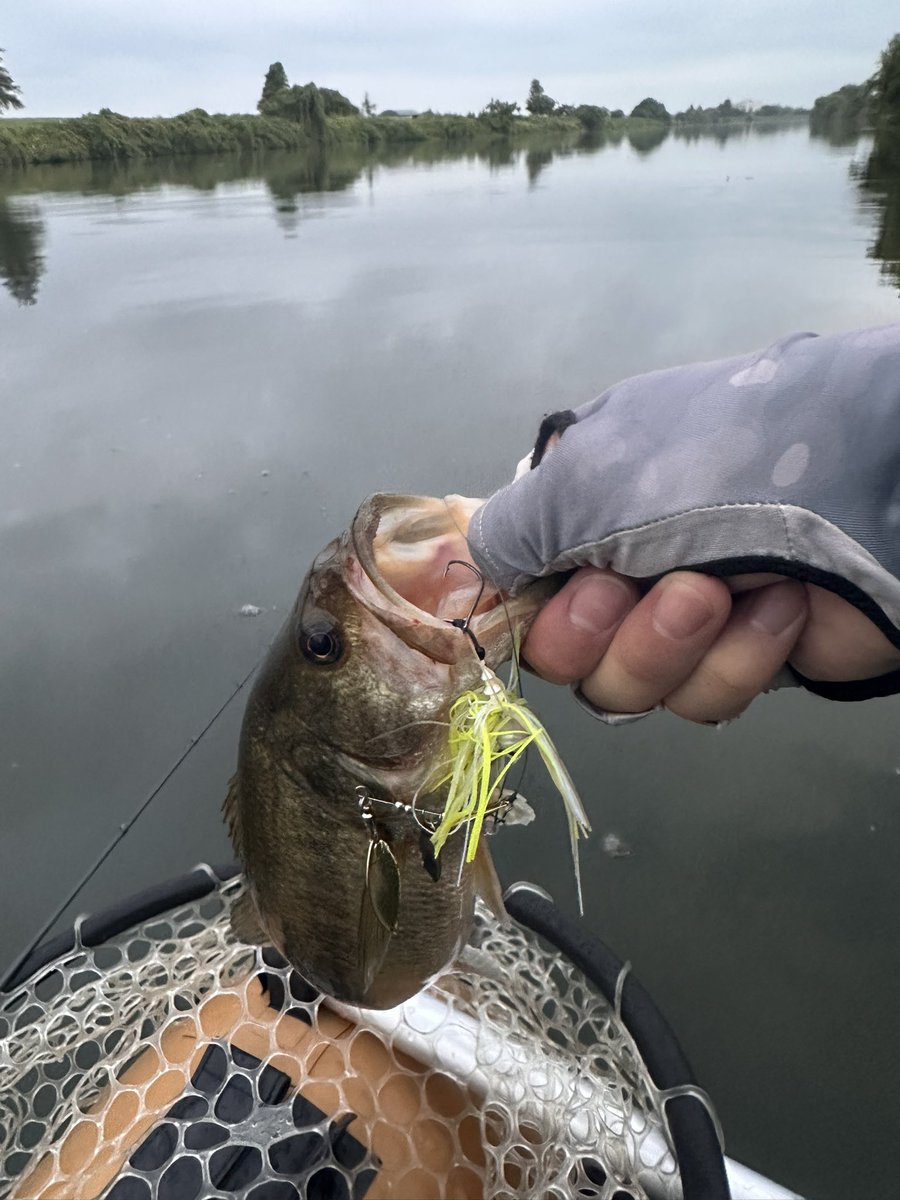 今年の荒川は難しい。。。朝イチしか釣れないし、釣れても3-4匹。

岸際に全然魚がいない。暑すぎるからなのか！？