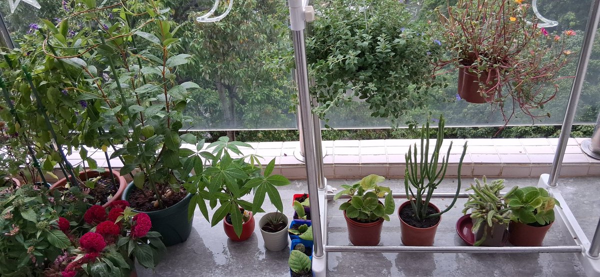 2 hari 2 malam hujan lom mau udah ,parah