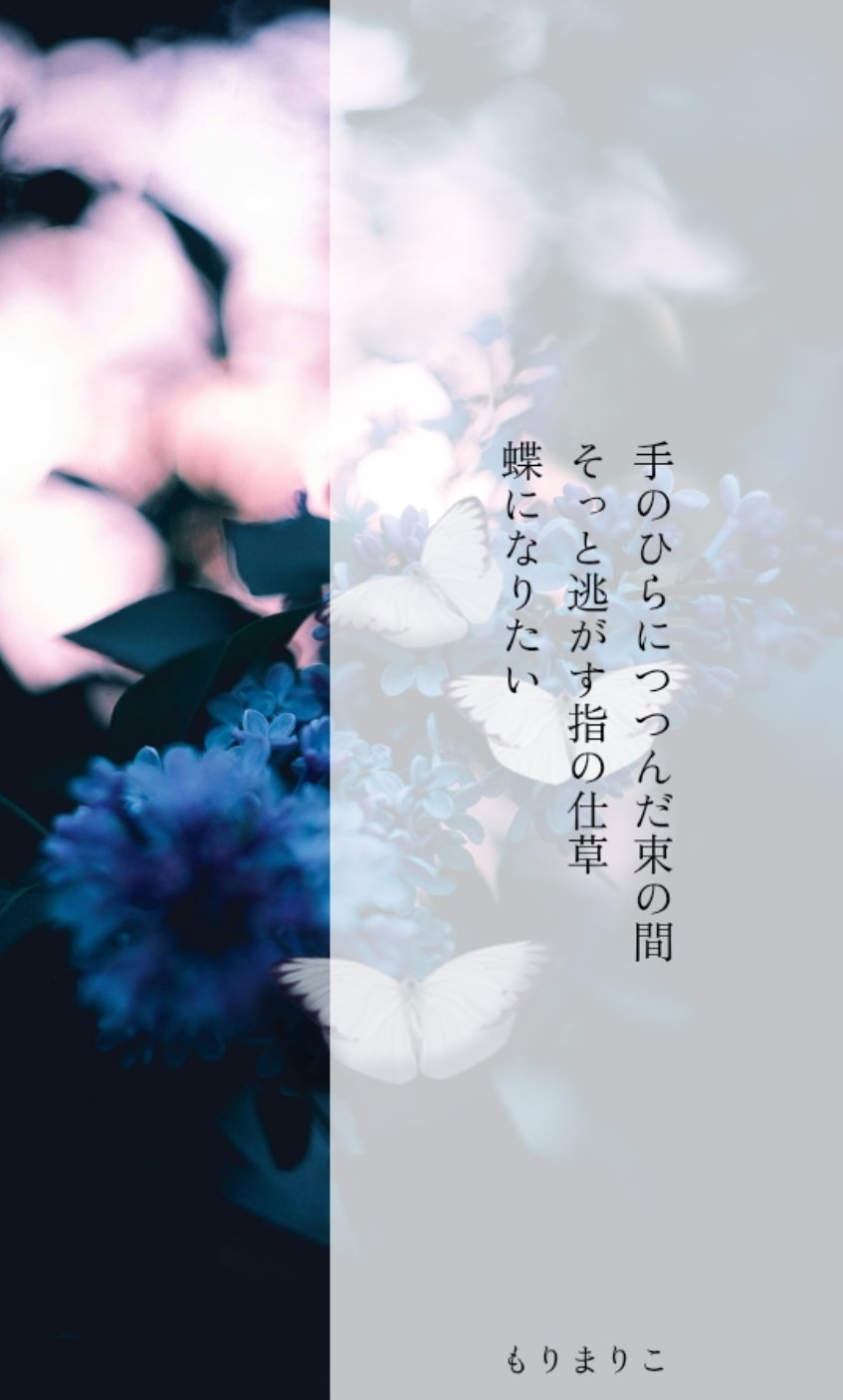 ゼロゼロゼロ　もりまりこ　歌集　現代短歌 Amazon.co.jp: ゼロゼロゼロ もりまりこ 歌集 現代短歌 : おもちゃ