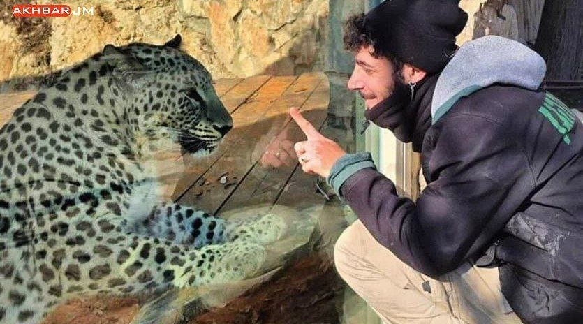 🇮🇷🇮🇱 Leopardo iraní mató a un israelí en Jerusalén.

Un ciudadano israelí murió tras el ataque de un leopardo iraní durante actividades de entrenamiento en uno de los zoológicos. El depredador fue trasladado a este zoológico el año pasado.