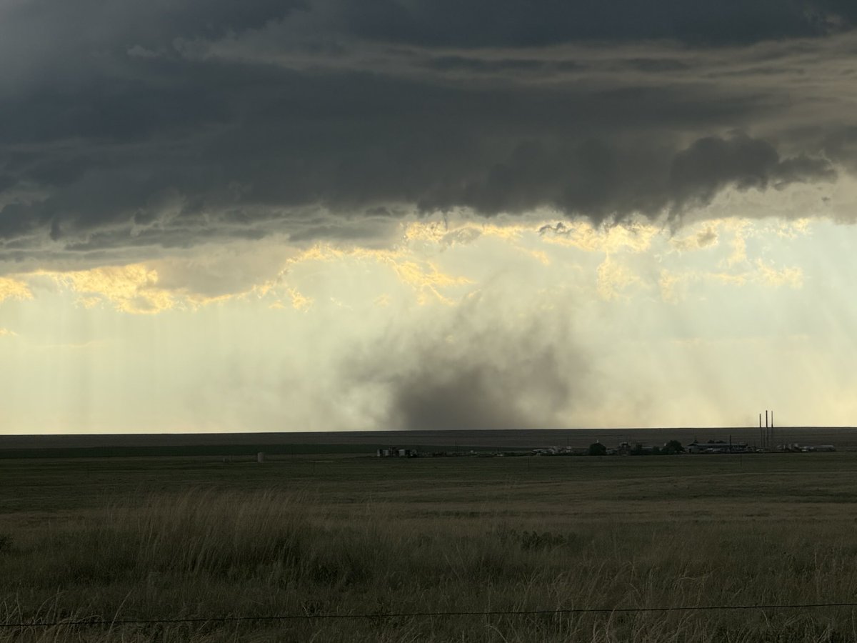 Greg Gaffney tweet media