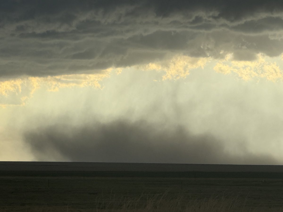 Greg Gaffney tweet media