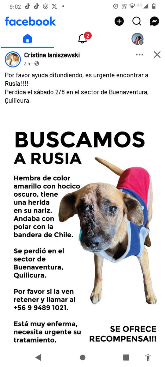 Alerta Quilicura buscan a Rusia