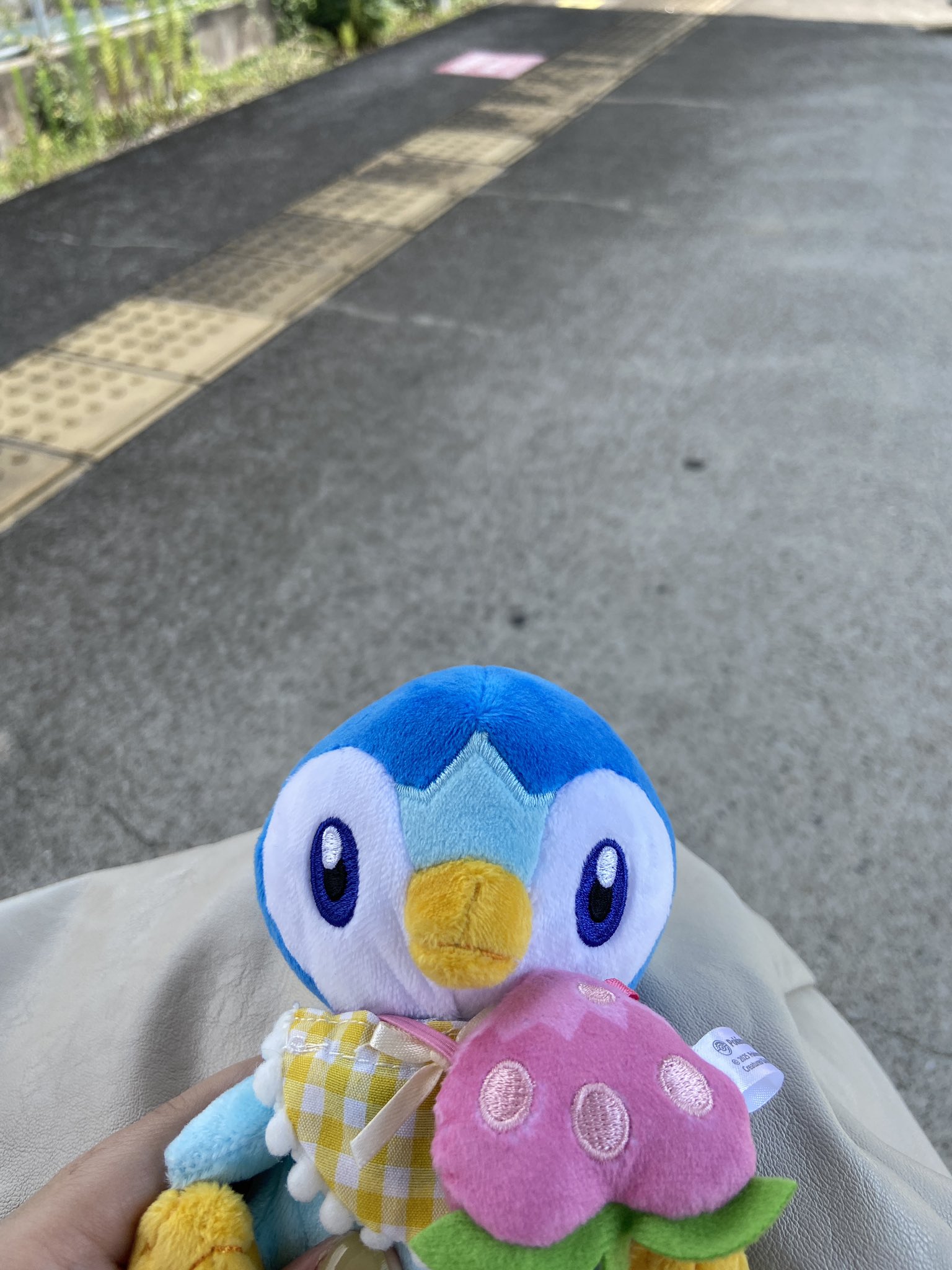 ポッチャマ様おまとめ専用ページ♡ イトーチセ on X: 