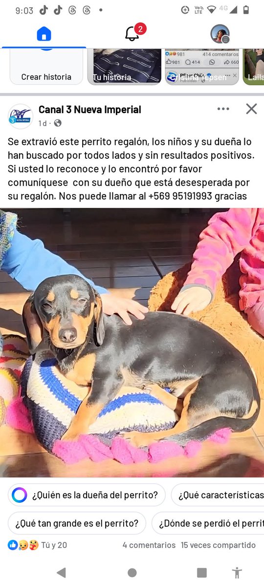 Porfavor retenerlo quien lo vea llamar inmediatamente a sus dueños porque lo están buscando desesperadamente los niños están sufriendo 🙏🐾🐾😓💔🫂