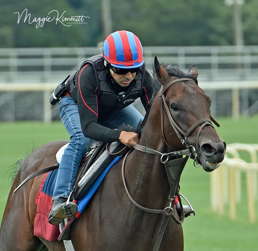 Maggie Kimmitt (@maggie_kimmitt) on Twitter photo Heredia (GB) with Will (gray sweatshirt) and Ribaltagaia with Fernando breezing on the turf at Fair Hill, 8/1/25
<a href="/HerringswellStb/">Herringswell Stables</a> Heredia (GB) with Will (gray sweatshirt) and Ribaltagaia with Fernando breezing on the turf at Fair Hill, 8/1/25
<a href="/HerringswellStb/">Herringswell Stables</a>