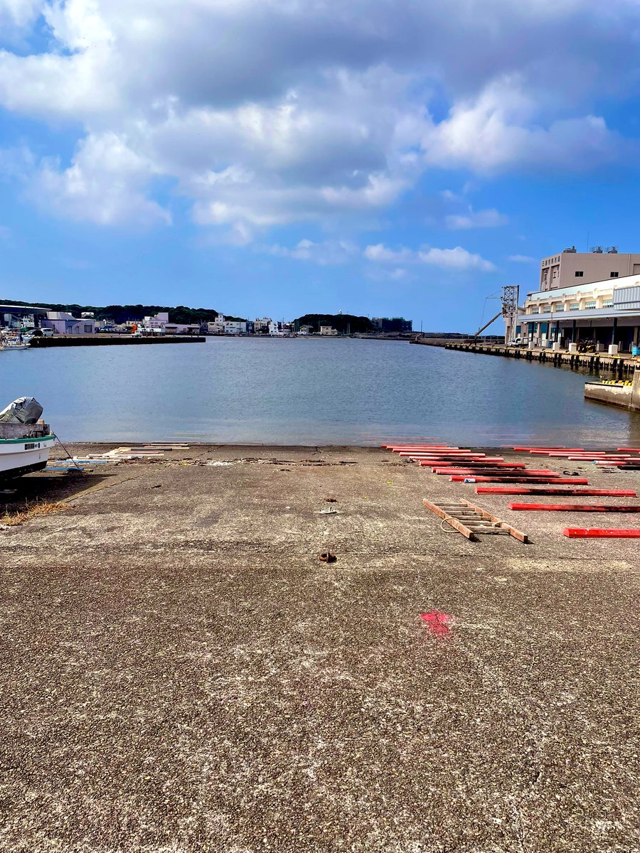 mana_955's tweet photo. 三崎港きました！
おいしすぎて撮るのわすれたがまぐろの刺身がやっぱりおいしい、、、 https://t.co/9bWJQ5veOV