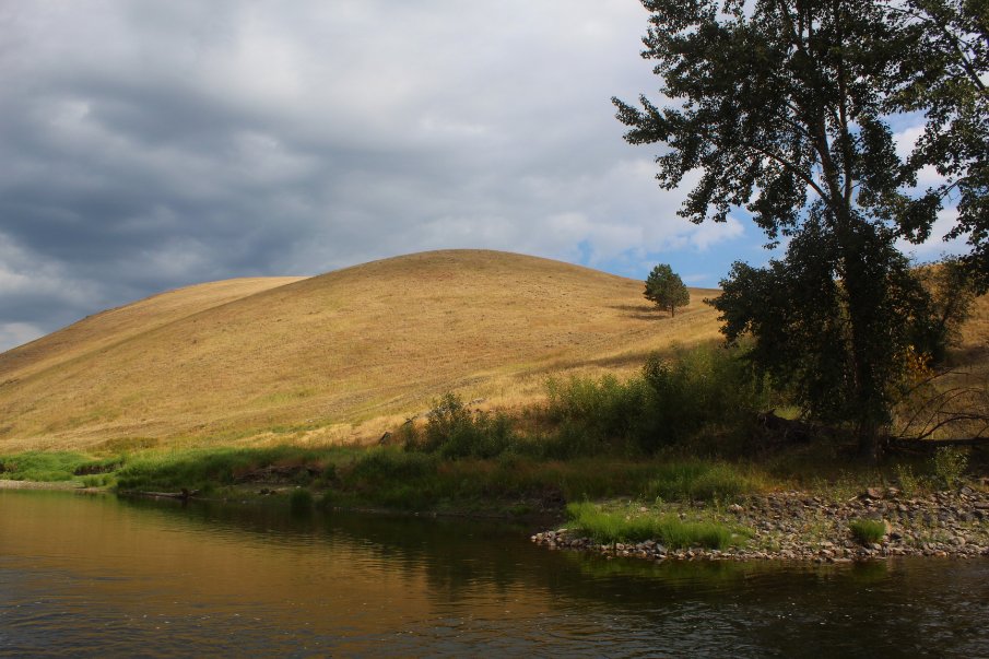 "Gonna make me a home out in the wind."
-- Bob Dylan