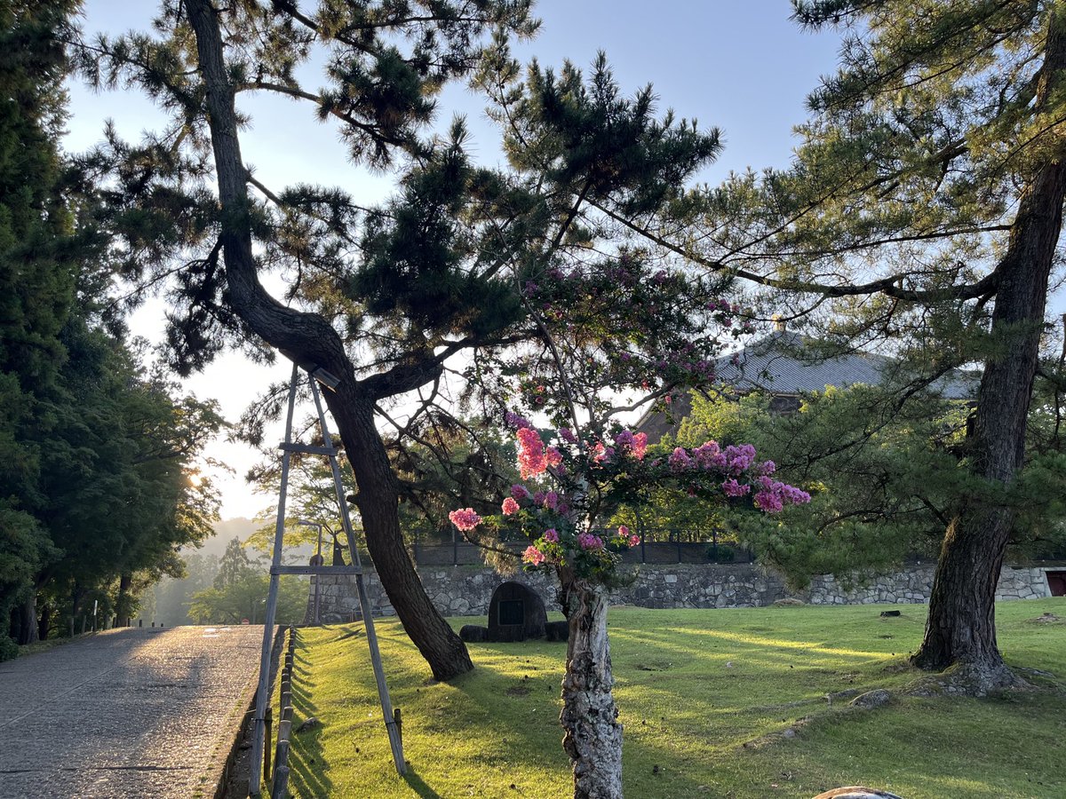気持ちよい朝。昼は暑いのかな。